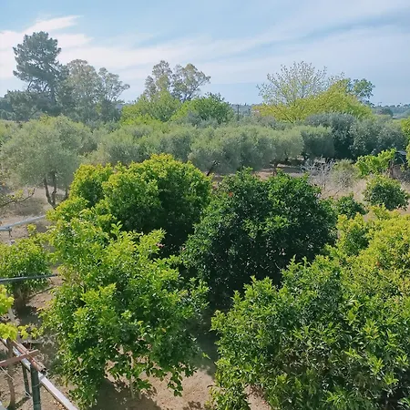 Luxurious Apartament