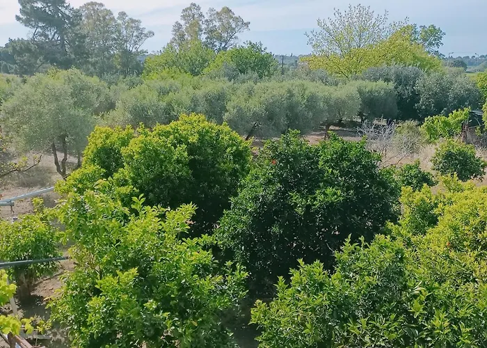 Luxurious Apartament